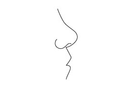 Fleshy - Bulbous Nose