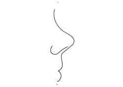 Snub Nose