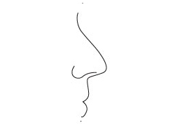 Eagle Nose