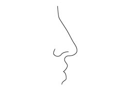 Crooked Nose